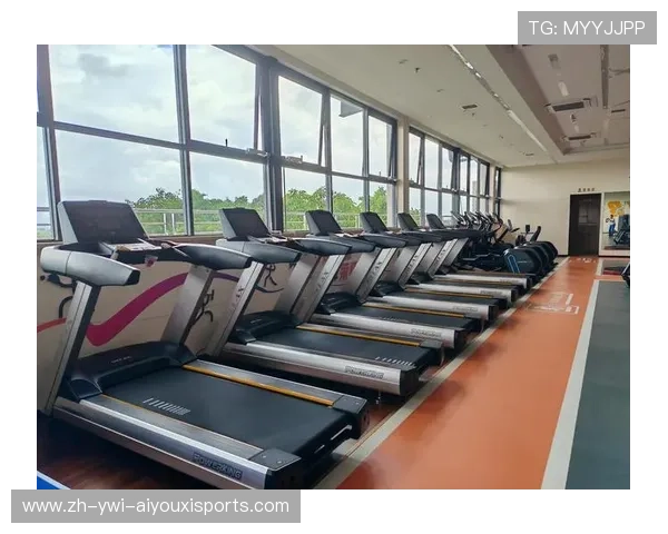 预算有限如何选健身器材口碑与性能兼备的品牌盘点